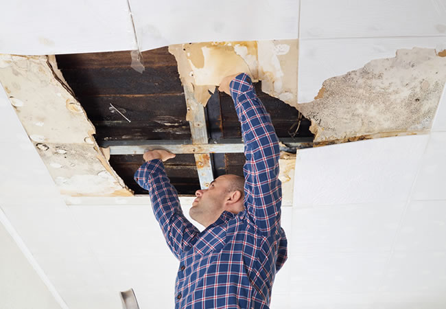 Rally Veeg Implementeren Vals plafond badkamer plaatsen? Hier let je op